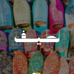 Creative Arabic Fonts - Free Download - Image 3
